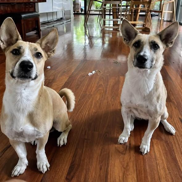 Archie and Vera